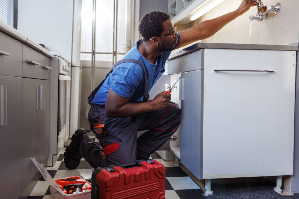 Best Residential Plumbing Services  in Janesville, IA